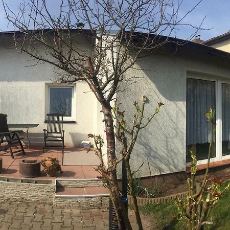 Ferienhaus Auf Usedom ツィノヴィッツ エクステリア 写真